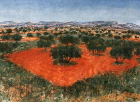 Ölbaumland und roter Acker